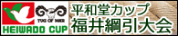 平和堂カップ