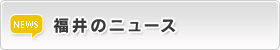 福井のニュース