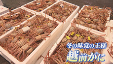 市場せり人に密着　福井の食卓を支える市場を徹底調査