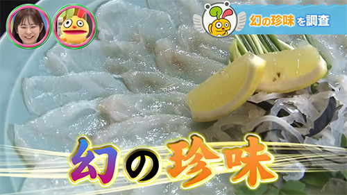 幻の”猛毒”珍味　ふぐの卵巣ってなんだー？