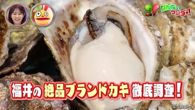 新ブランド続々！福井のご当地カキの実力とは？