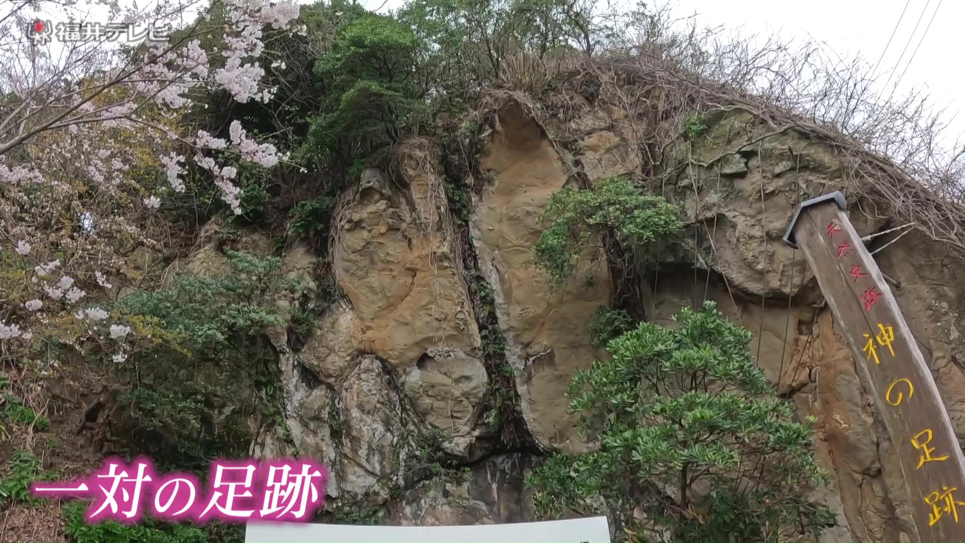 大災害を乗り越えた証でもある「神の足跡」