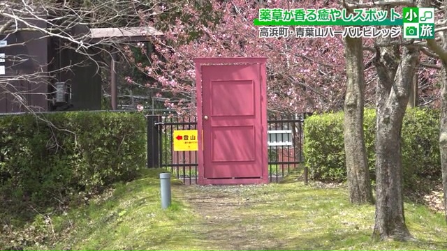 “どこでもドア”の向こうは…？