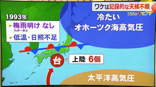 1993年の気象状況