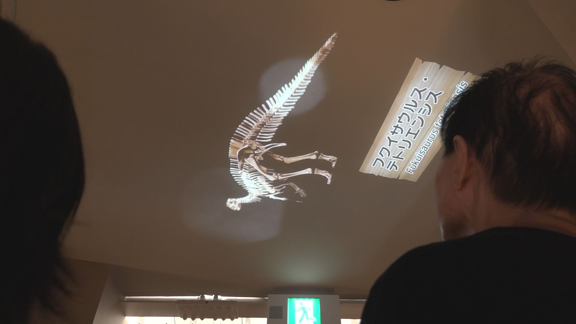 万博・福井県ゾーン