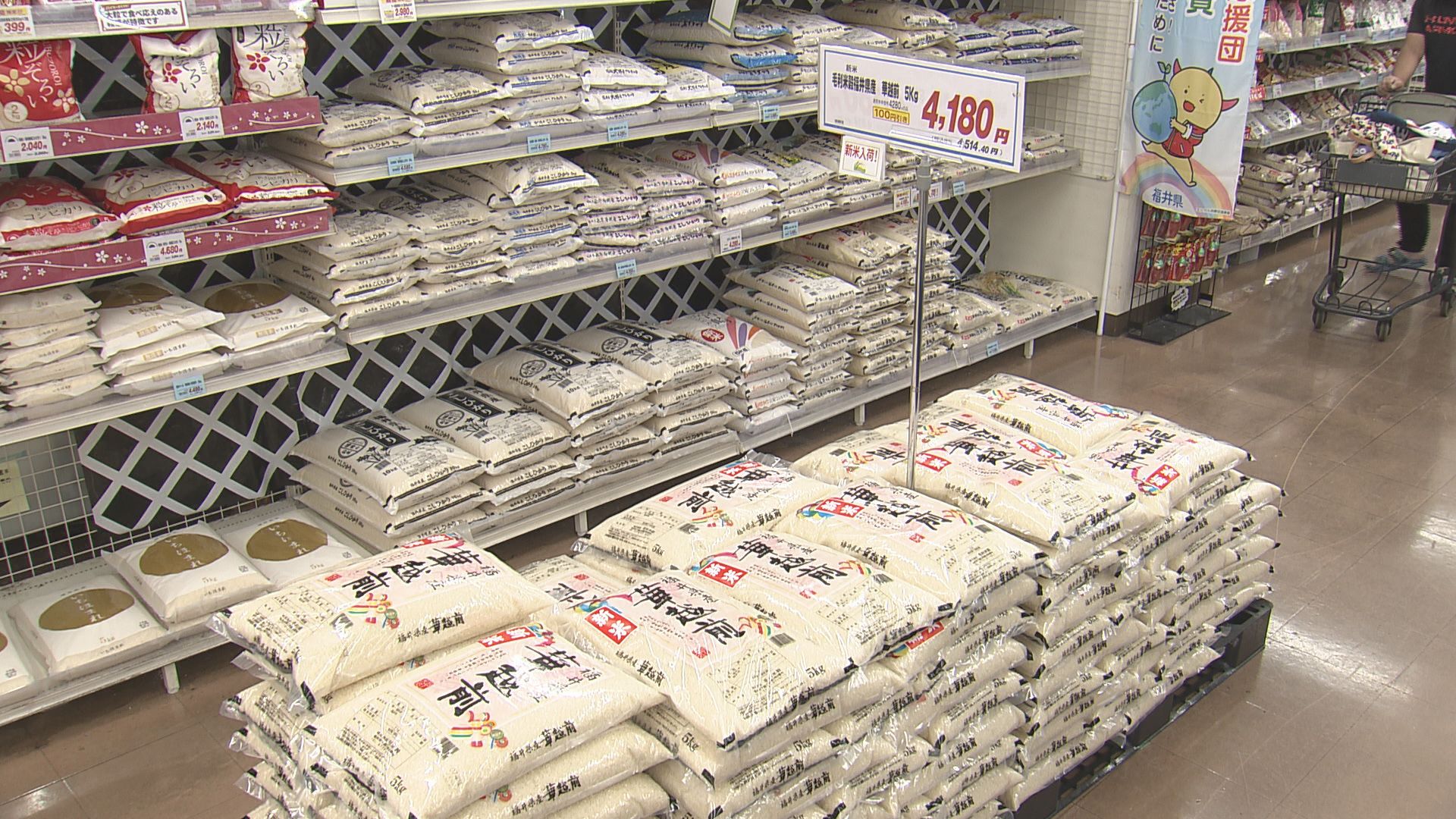 入荷したハナエチゼン