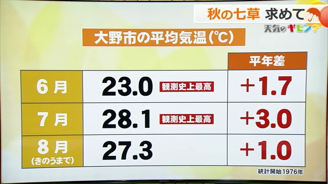 大野市の平均気温
