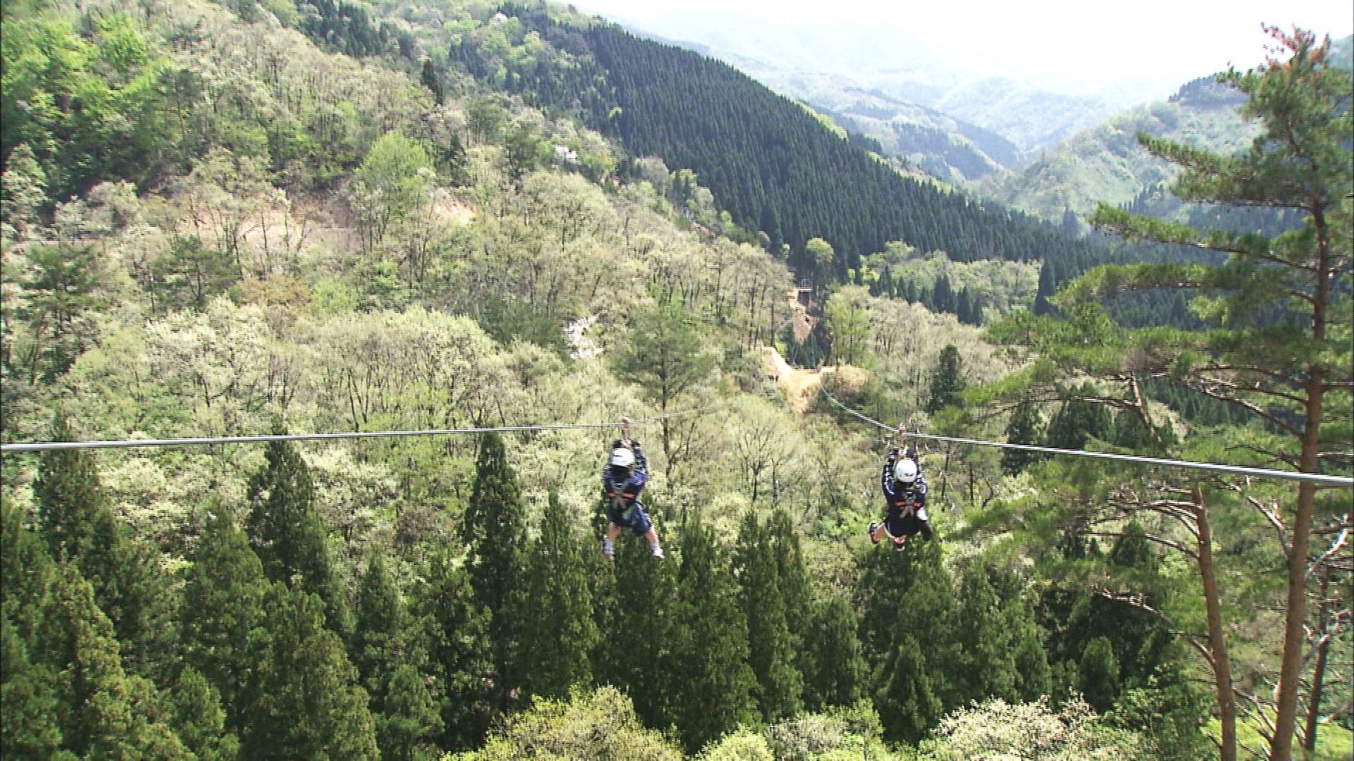 森の上を“飛ぶ”ように進むメガジップライン