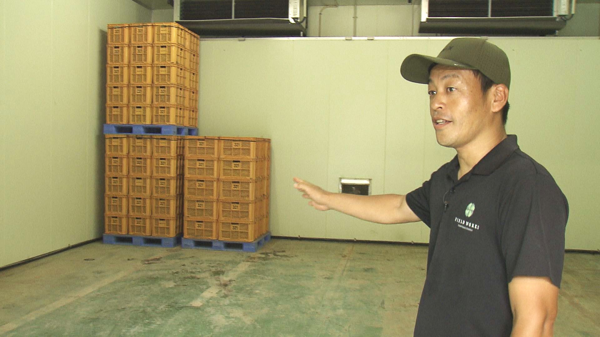 キュアリング貯蔵庫