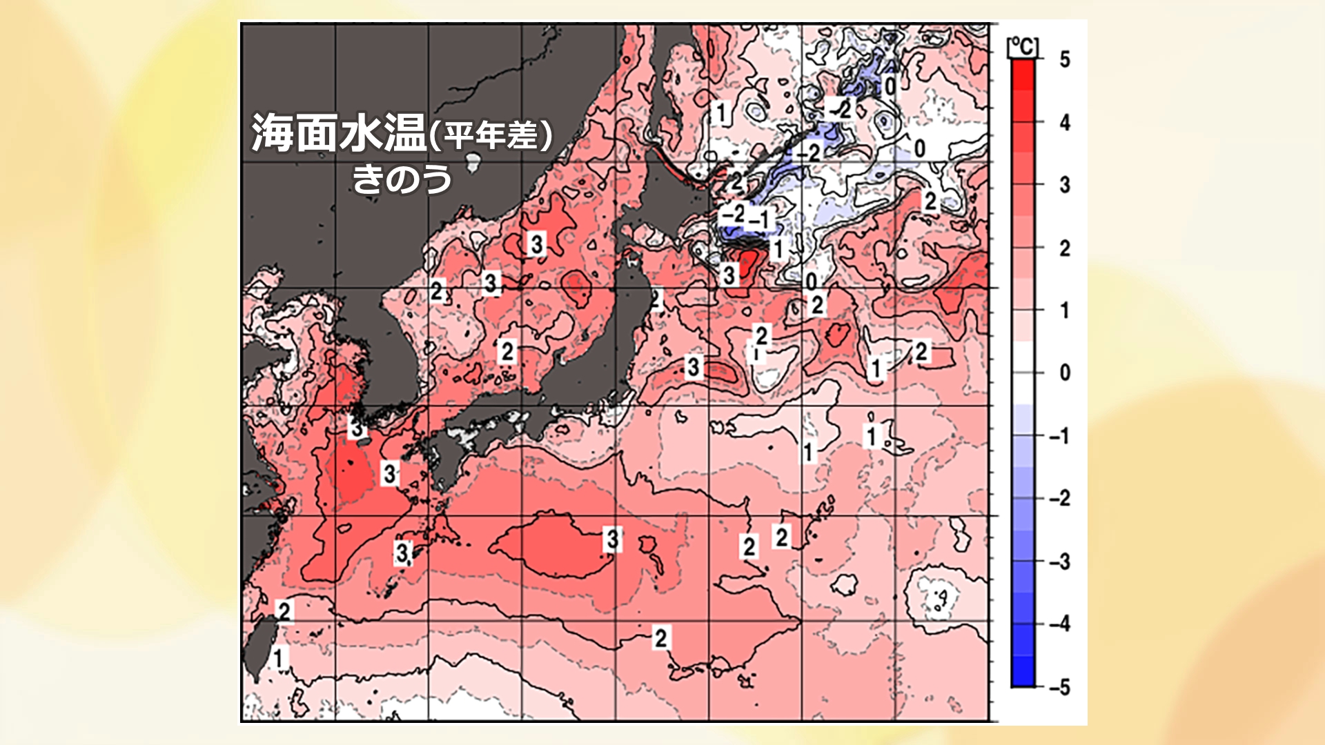 日本海の海面水温