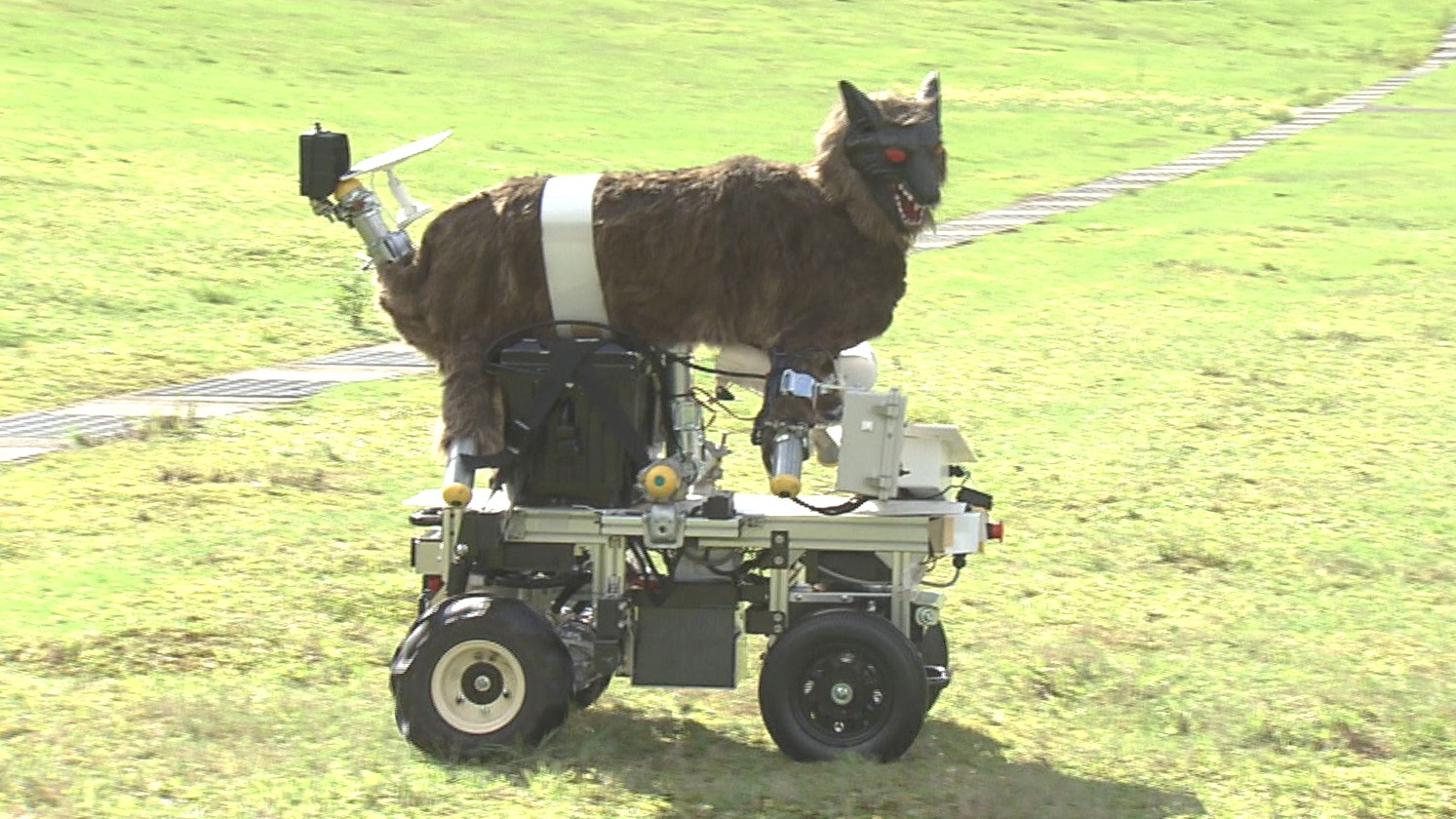 赤い目を光らせる