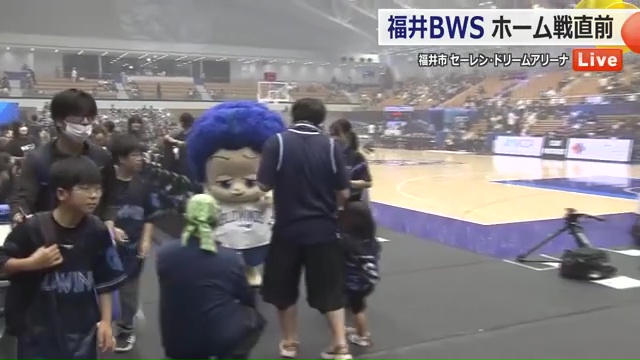 試合会場の様子