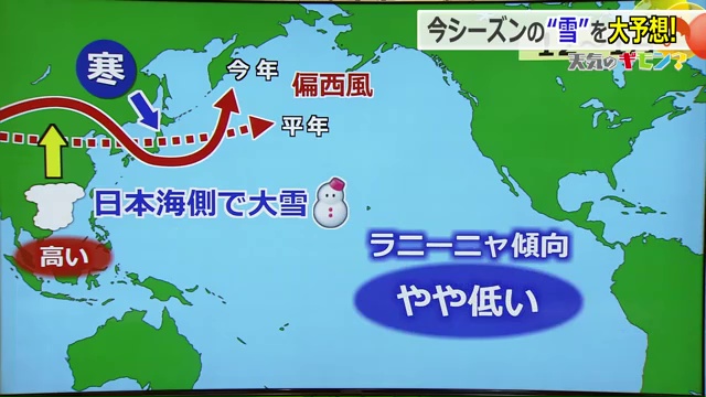 今シーズンの傾向