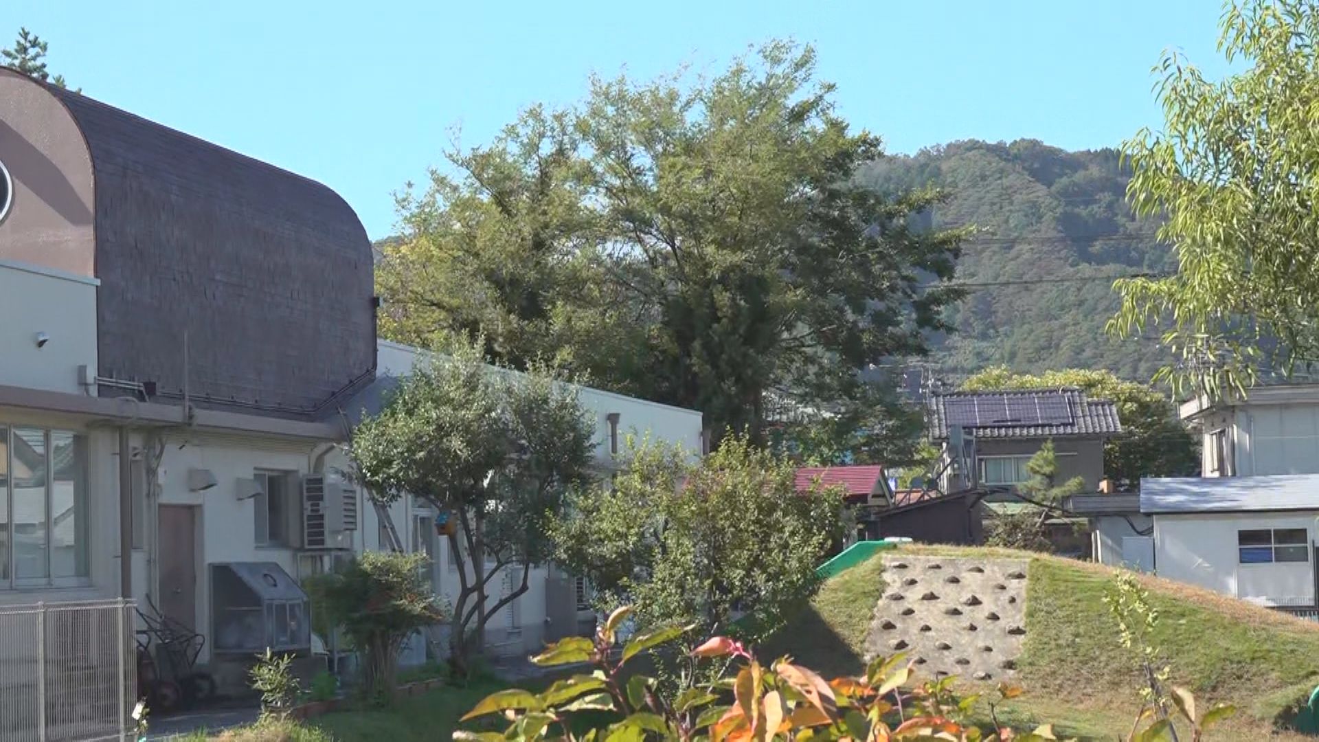 クマは園のすぐ近くに潜んでいた