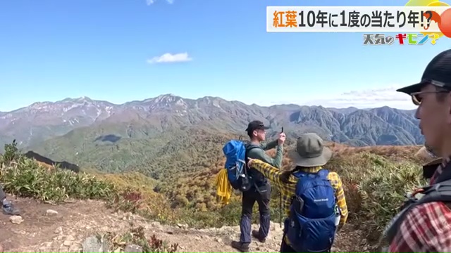 猛暑も…影響はなさそう