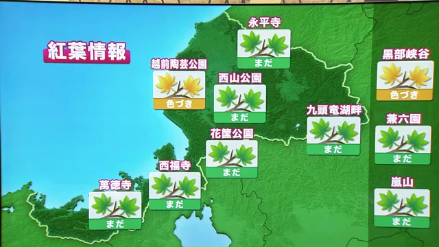 福井県内の紅葉の見頃