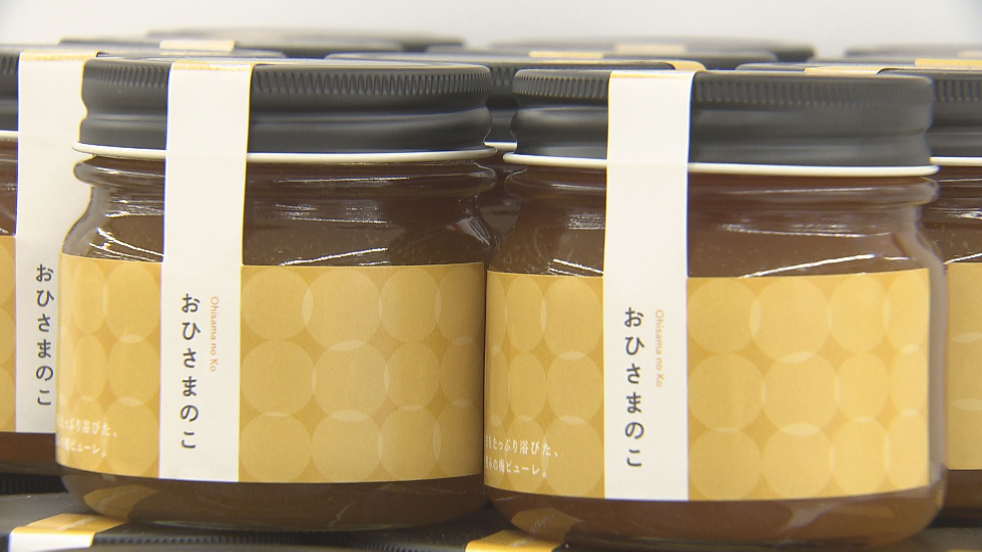 福井梅を使ったソース