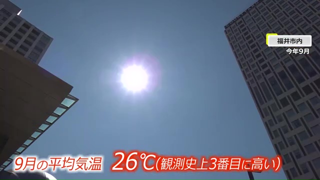 観測史上3番目の暑さ