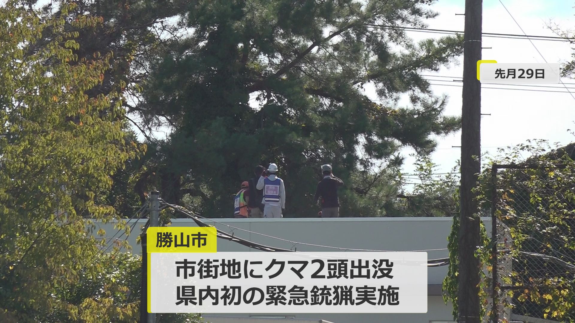 10月に県内初の緊急銃猟
