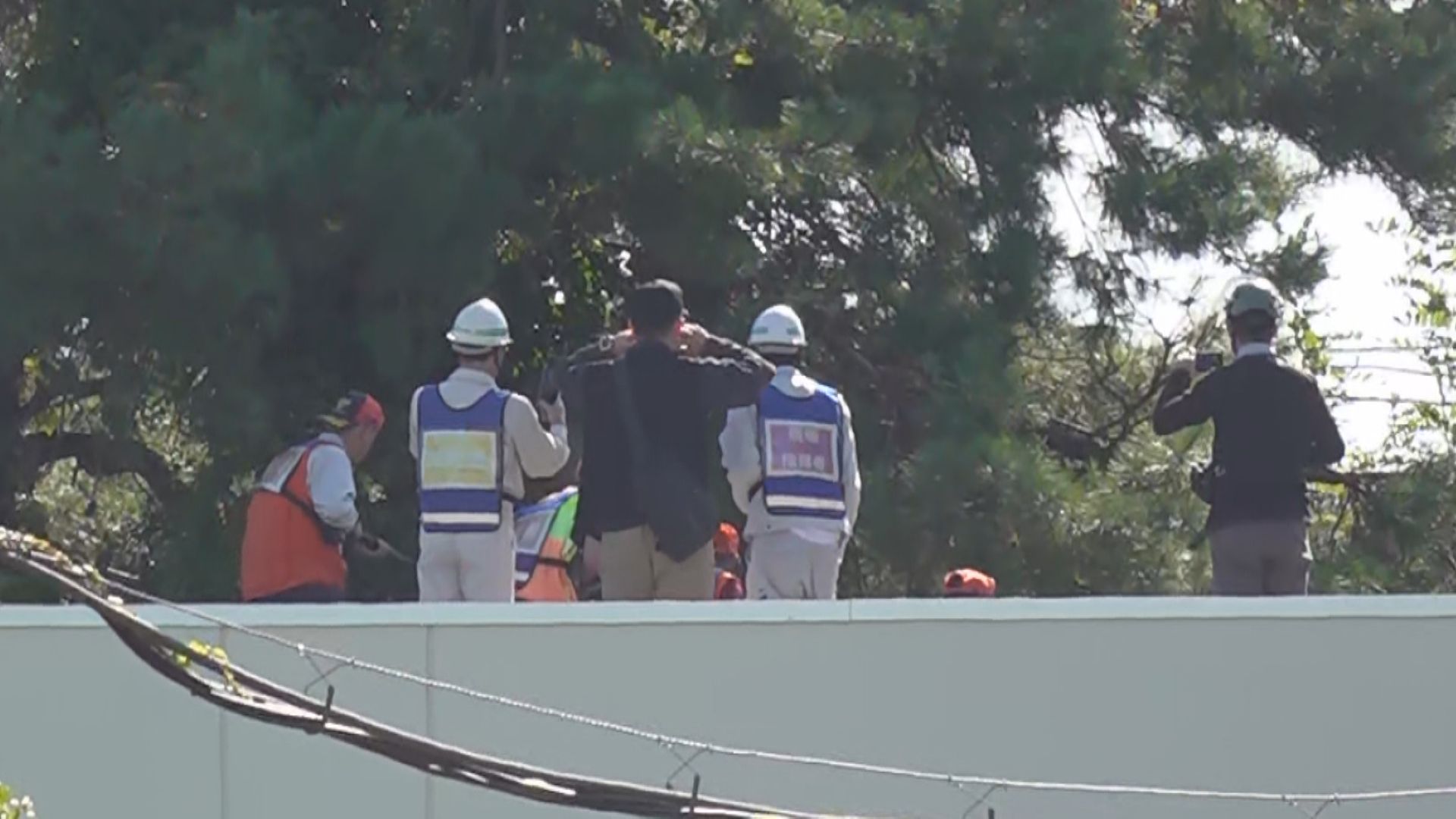 10月29日の緊急銃猟