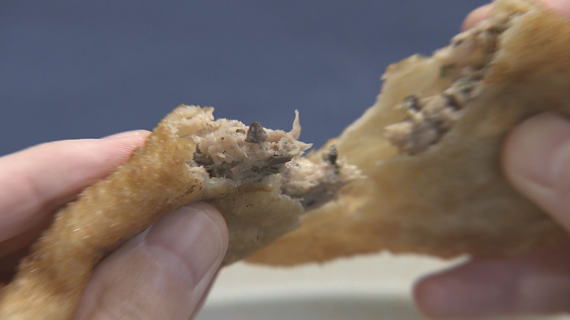 リトアニアの伝統料理「チェブレカイ」