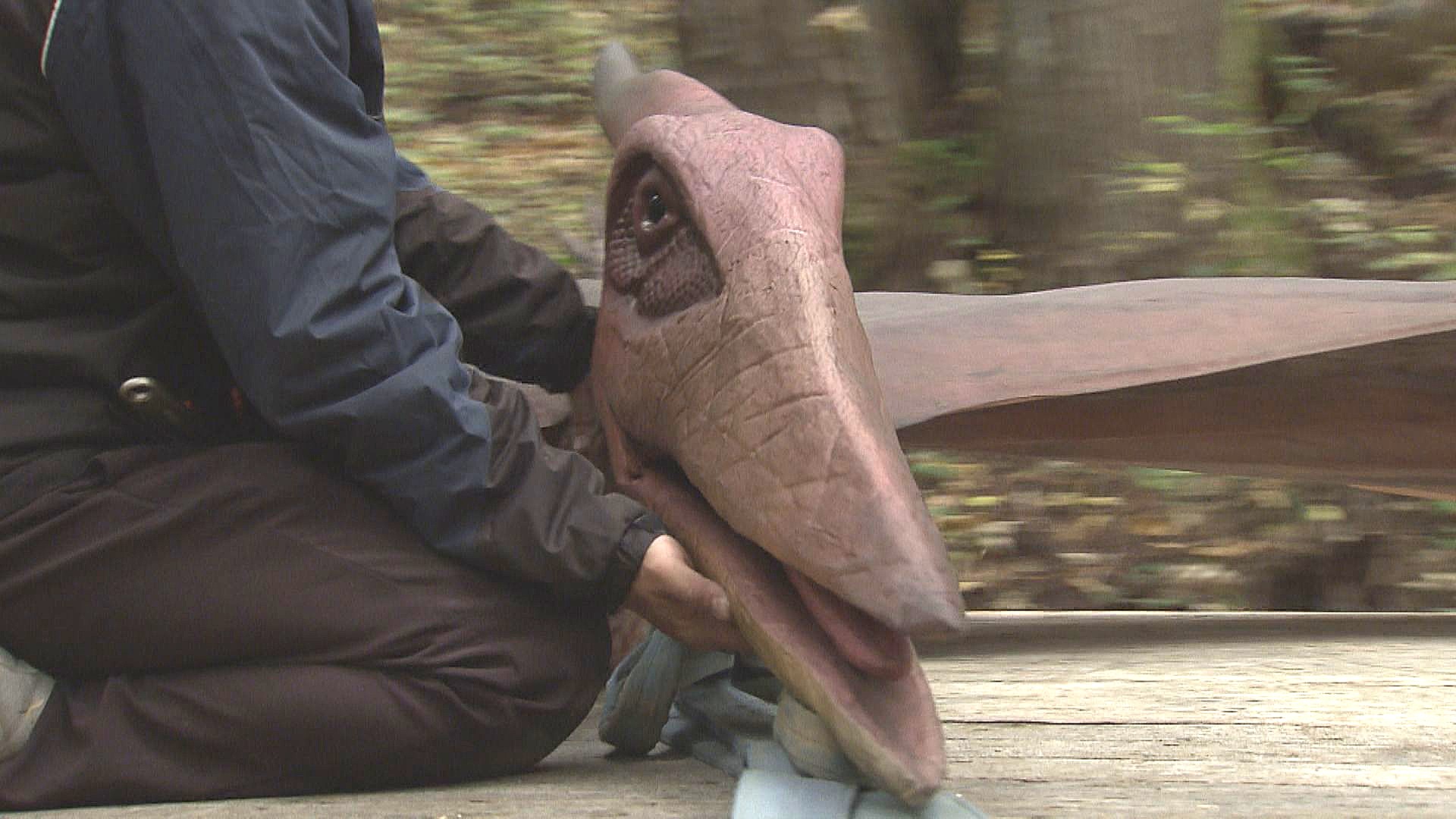 スタッフに支えられ慎重に車移動