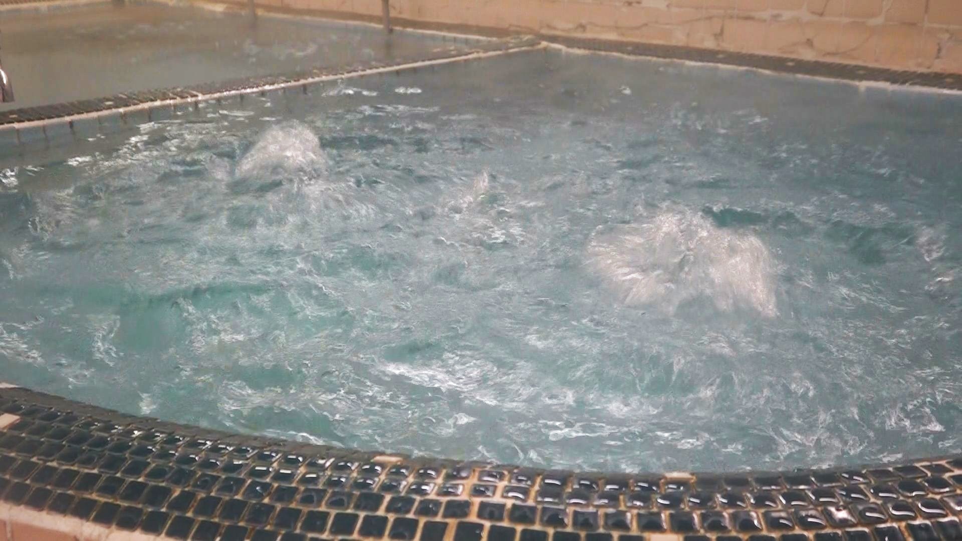 湯の温度は43度から44度