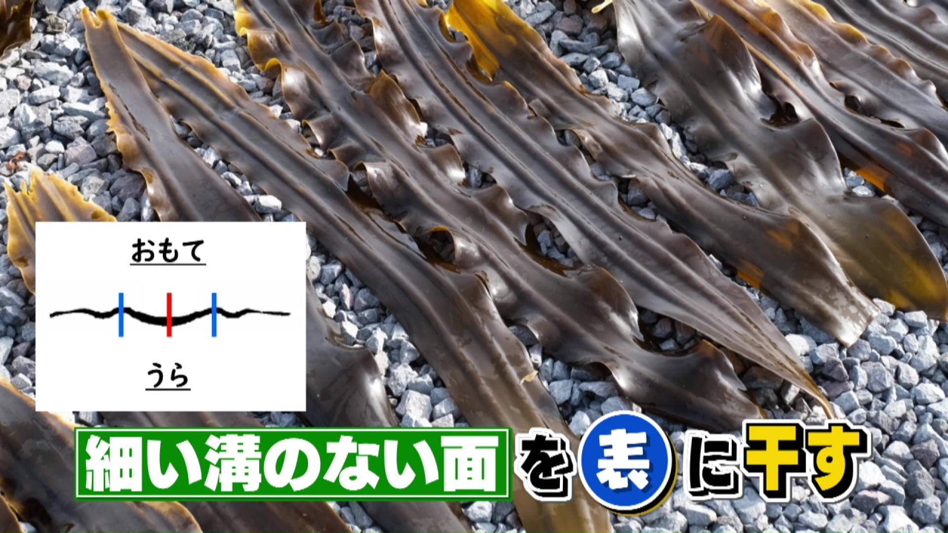 太陽に向ける方が「表」