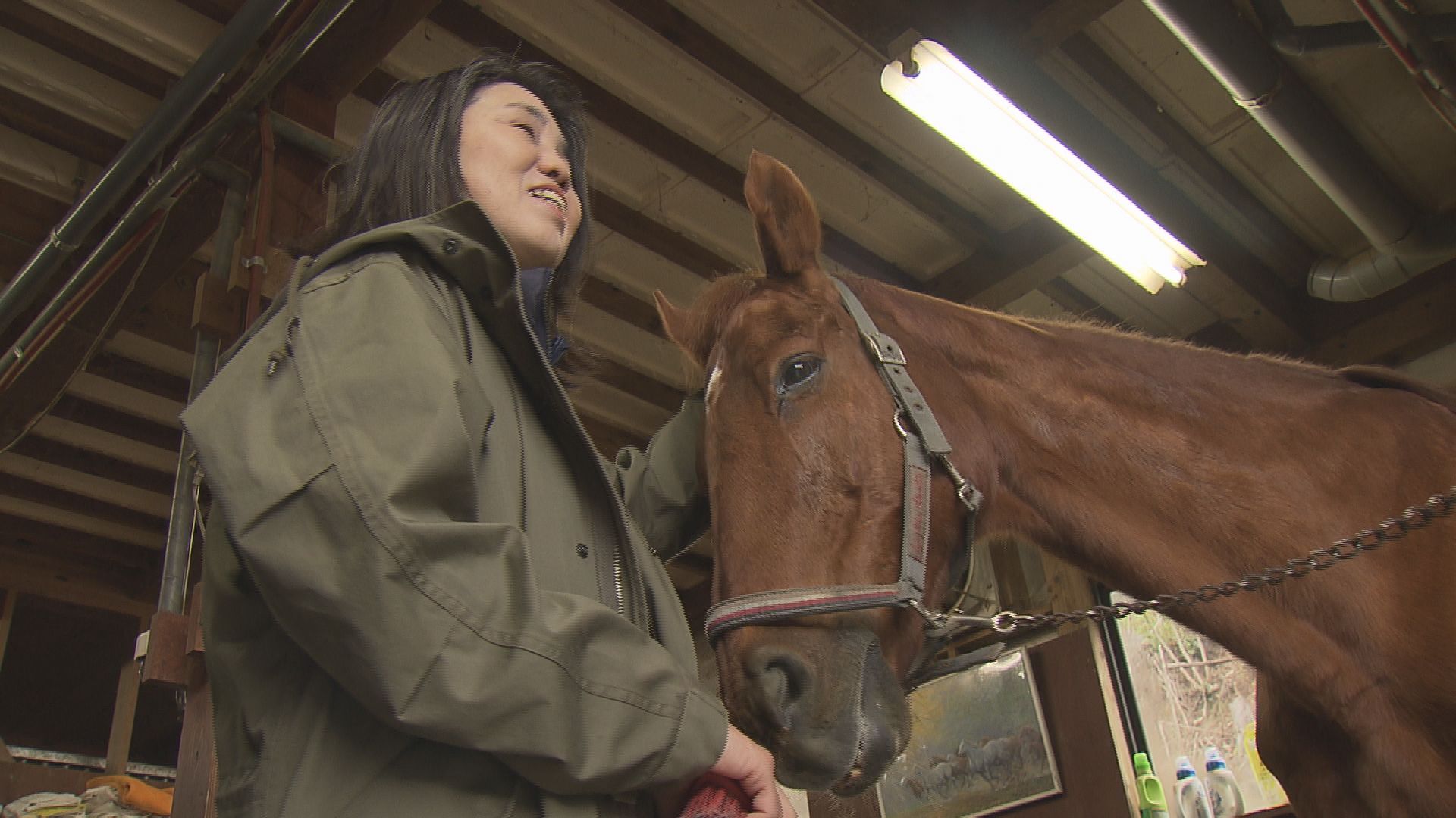 G1を経験したサラブレッドも所属