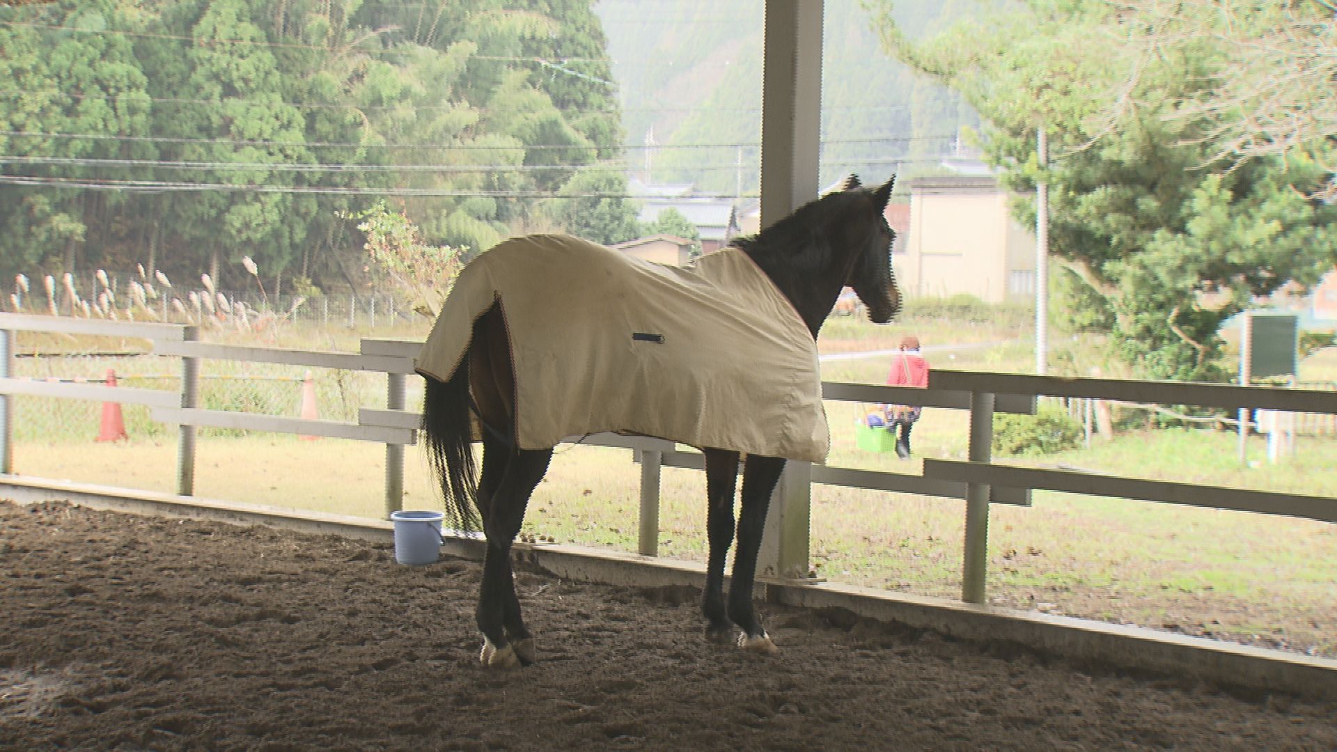 雨でも乗馬が楽しめる