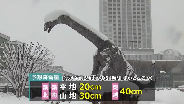 24時間予想降雪量