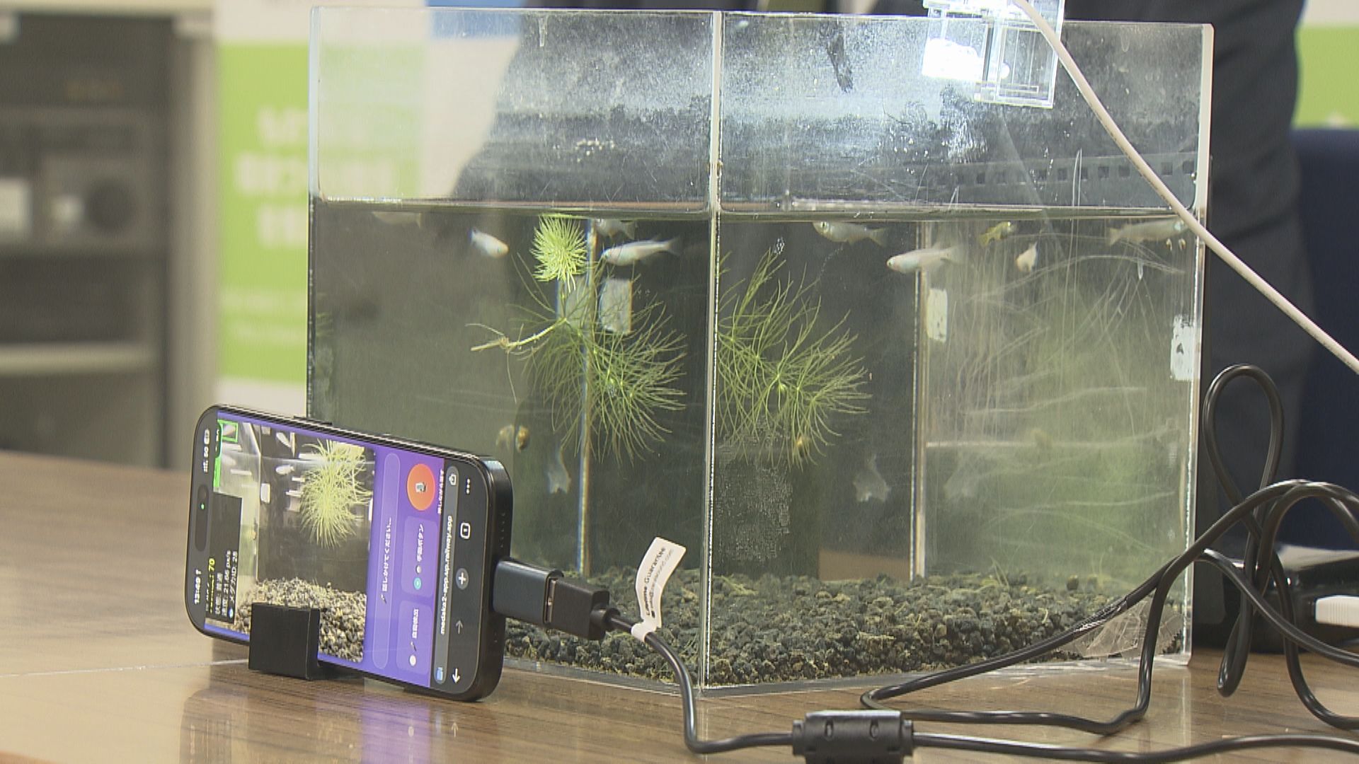 メダカを使った支援機器