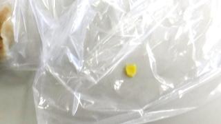 見つかったのは5ミリ程度のプラスチック片