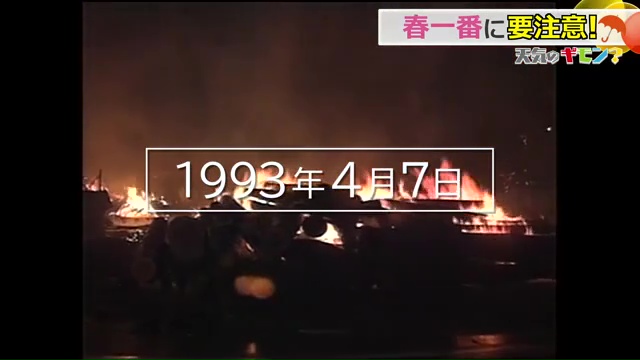 1993年には林野火災に