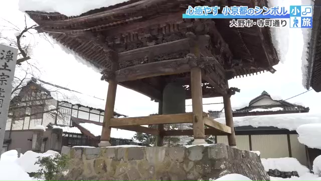 北陸最大とされる鐘桜