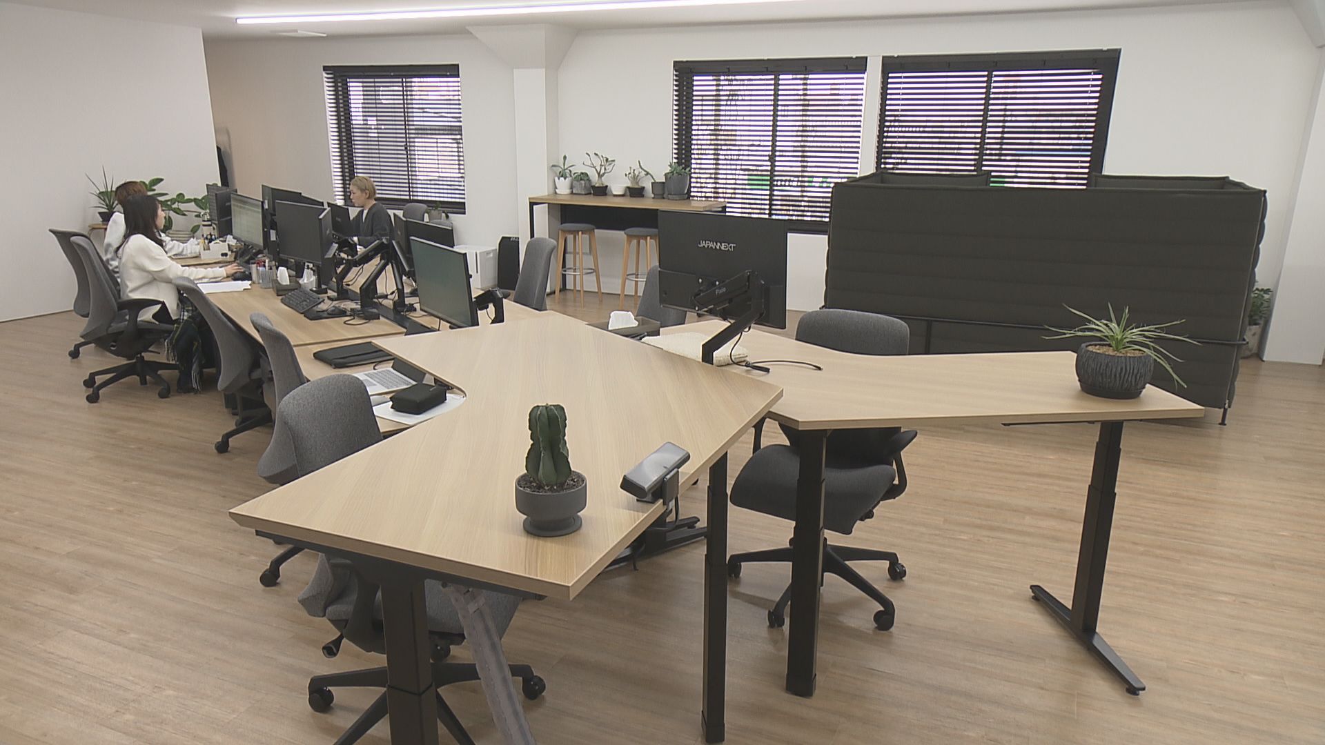 電動昇降のデスクが並ぶ
