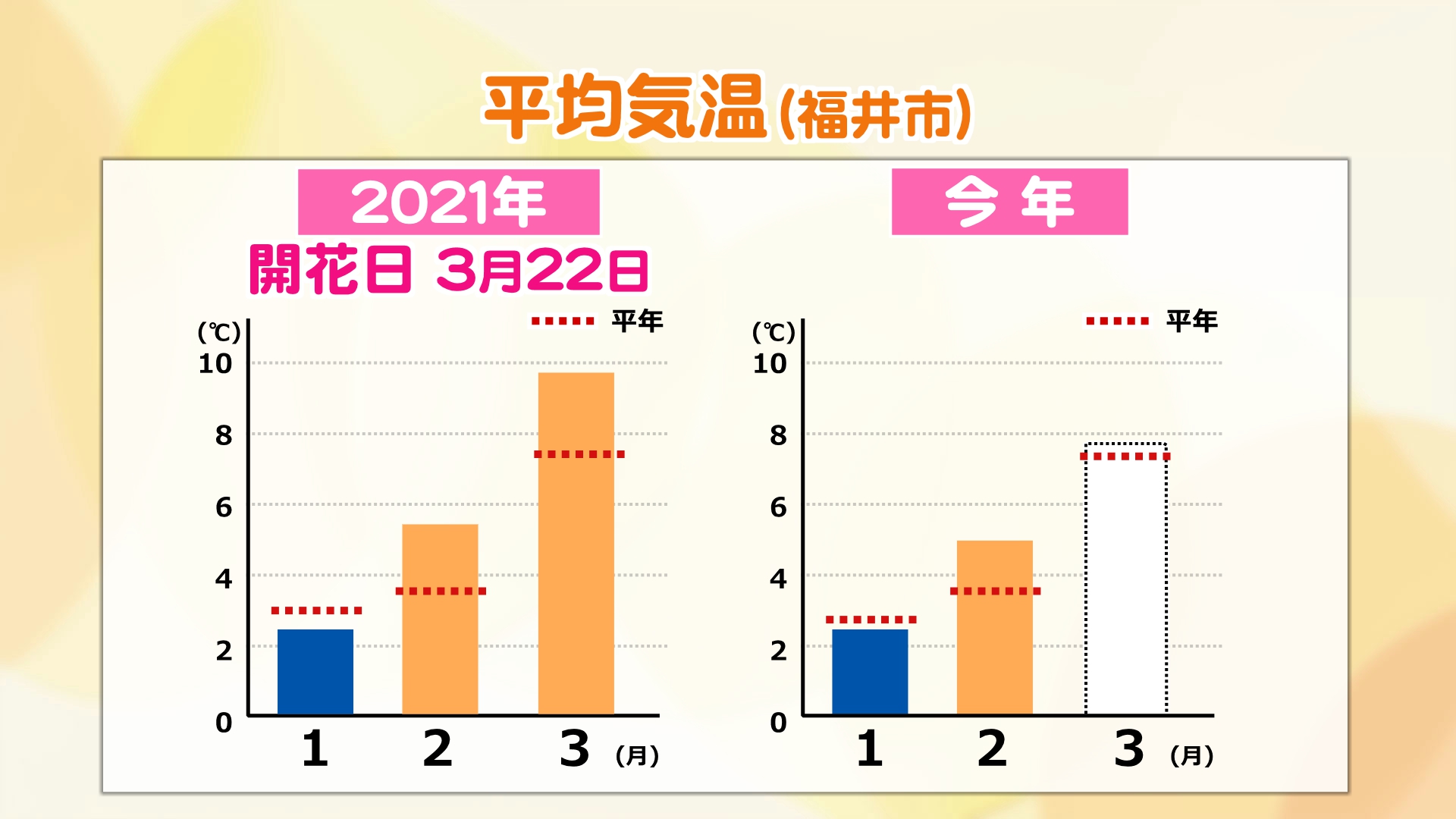 平均気温の比較（福井市）