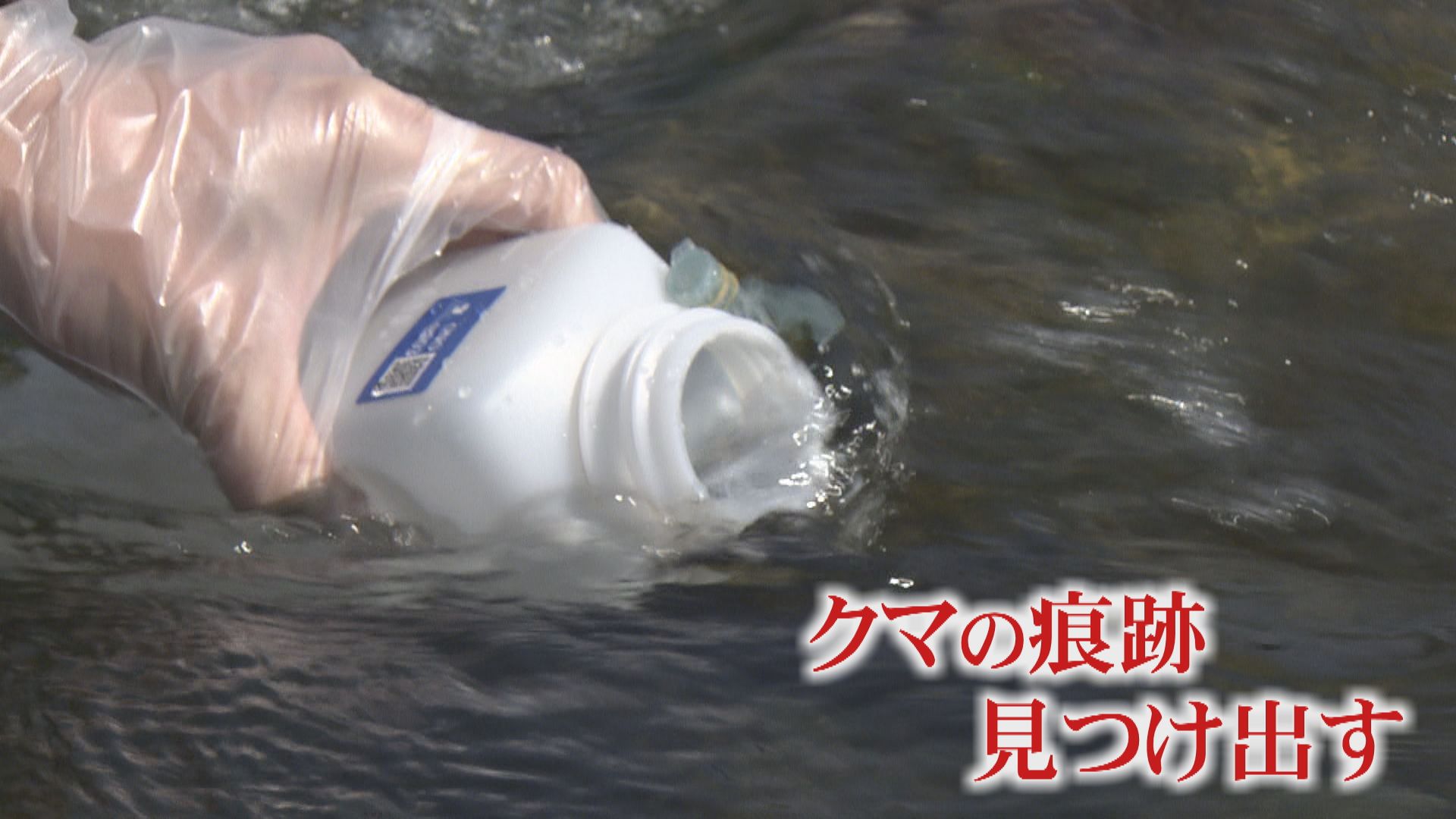 川の水に含まれるDNAを分析