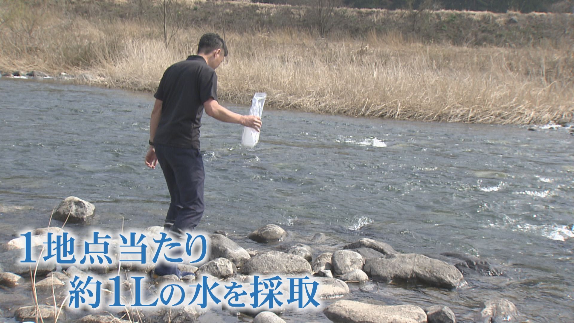 1地点あたり1リットルを採取