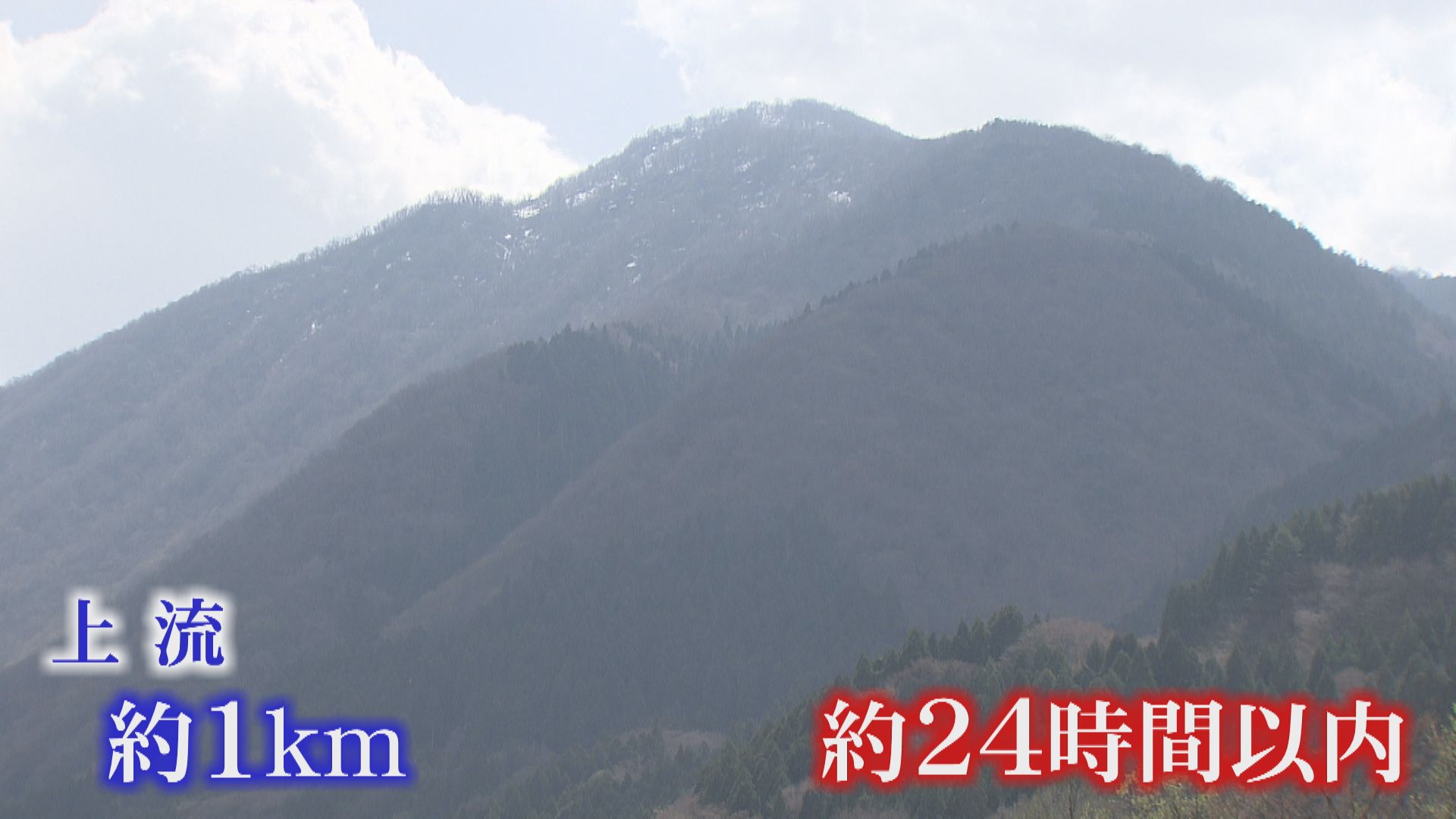 どの辺りにクマが多いかを分析