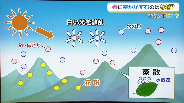花粉やほこり、黄砂が水蒸気にあたり光りが散乱