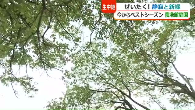 新緑がまぶしい季節がベストシーズン