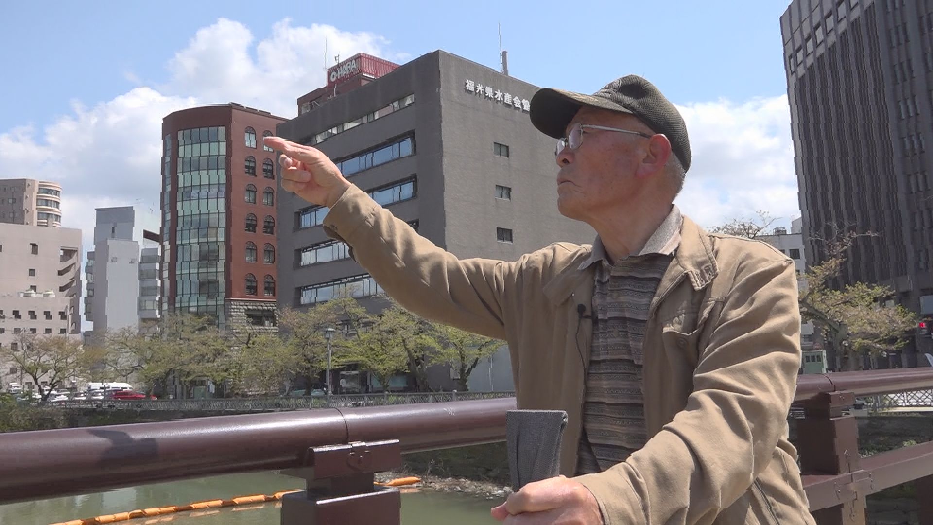 樹木医・今井三千穂さん