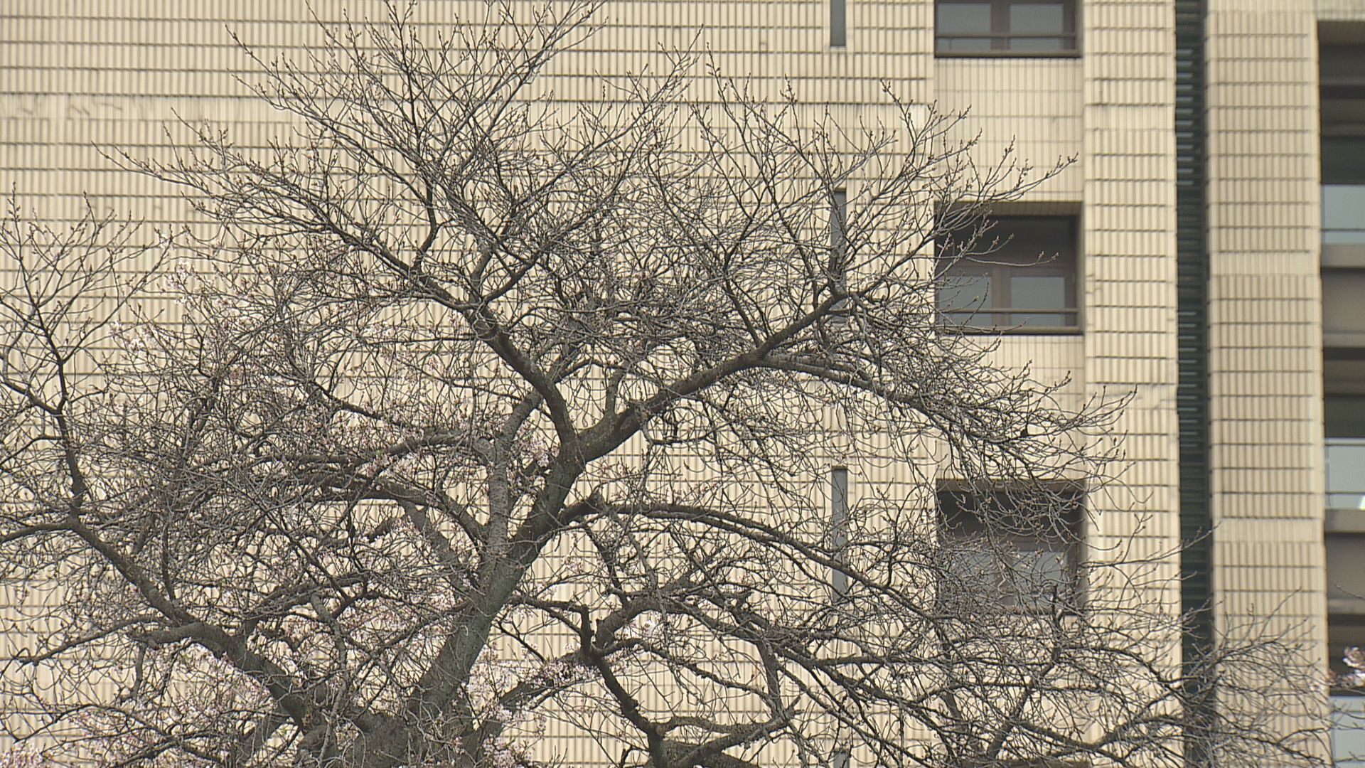 来年に向けて対策を検討へ