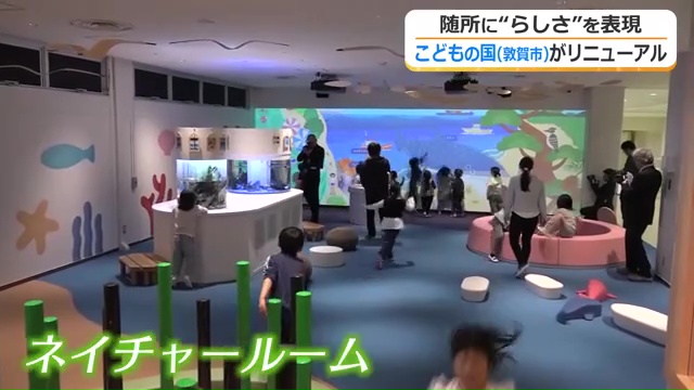 水槽があるネイチャールーム