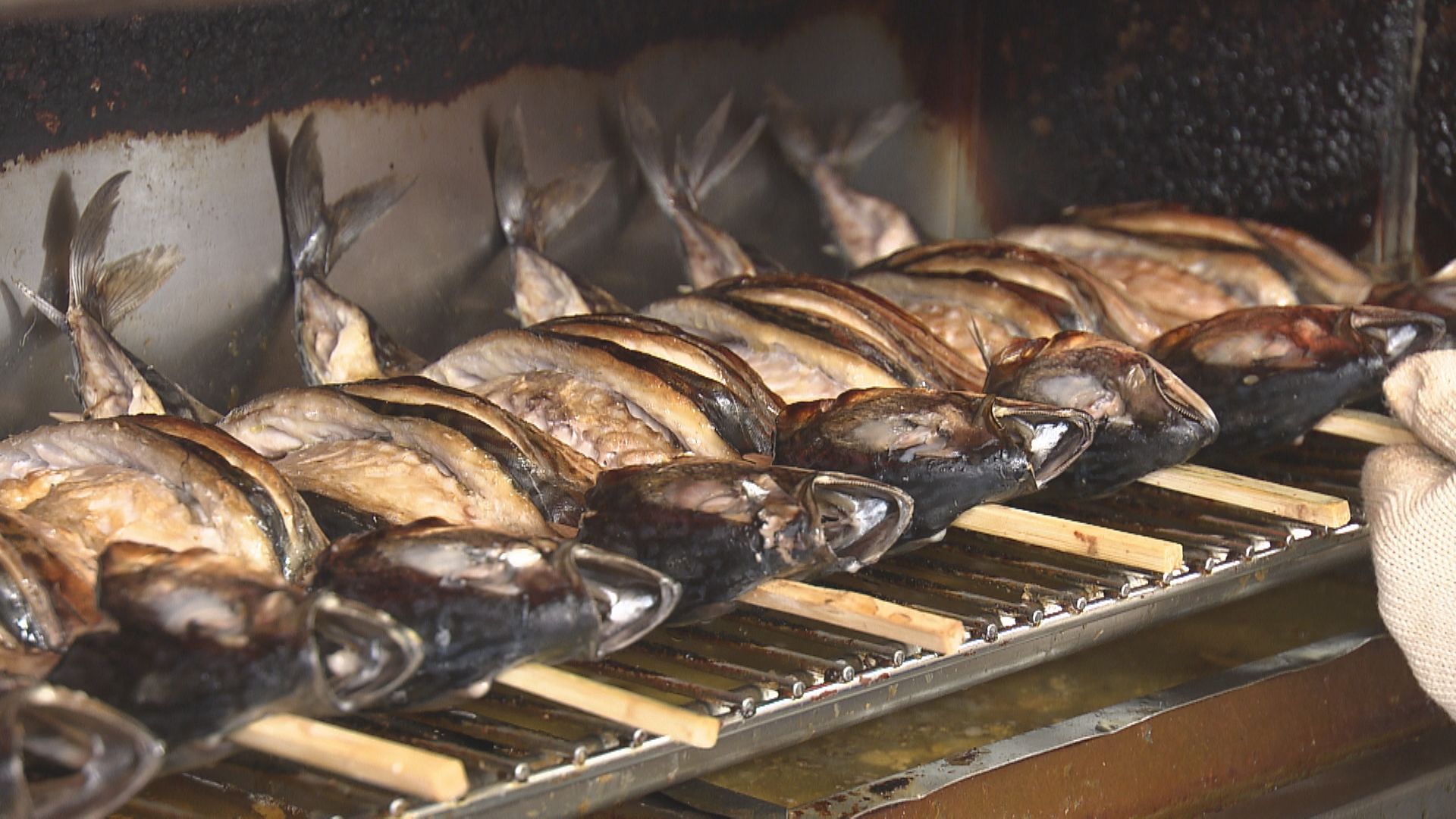 こんがりと焼き上がったサバ