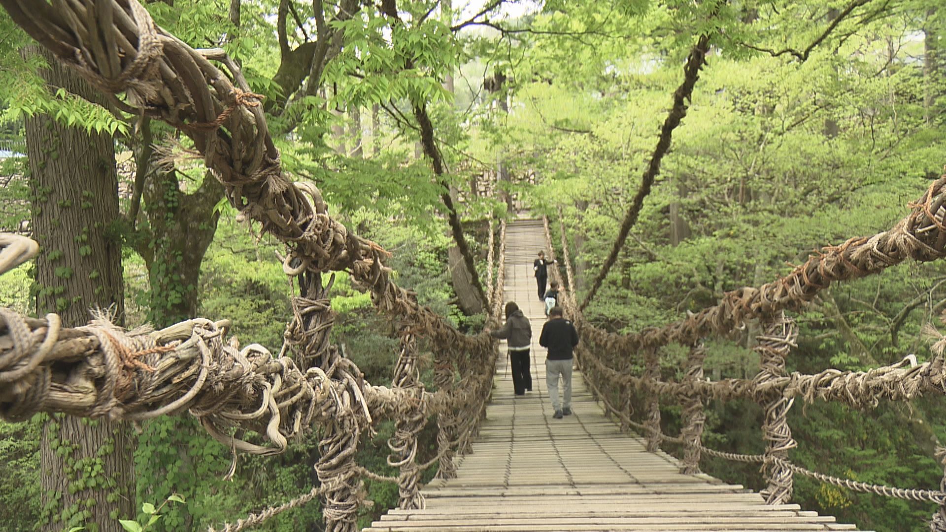 池田町のかずら橋