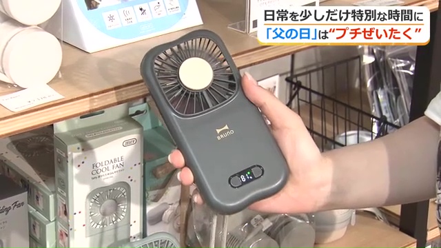 6WAYハンディーファン(2860円)