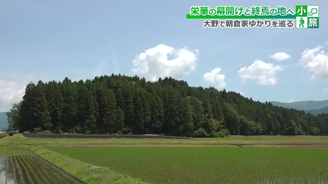 新田義貞軍と足利尊氏軍が戦った「小山城」