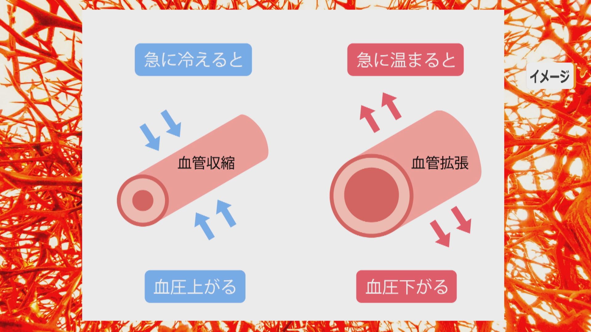 寒暖差で血管が収縮し血圧が変動